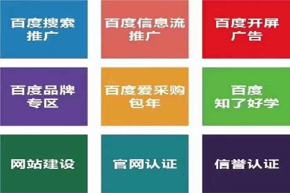 SEM广告投放的技巧与策略——成功案例分享